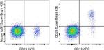 CD23 Antibody in Flow Cytometry (Flow)