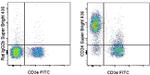 CD24 Antibody in Flow Cytometry (Flow)