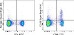 CD25 Antibody in Flow Cytometry (Flow)