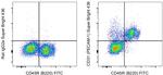 CD31 (PECAM-1) Antibody in Flow Cytometry (Flow)