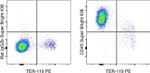 CD45 Antibody in Flow Cytometry (Flow)