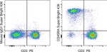 CD45RA Antibody in Flow Cytometry (Flow)