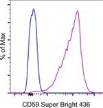 CD59 (Protectin) Antibody in Flow Cytometry (Flow)