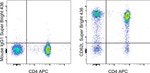 CD62L (L-Selectin) Antibody in Flow Cytometry (Flow)