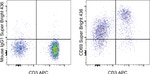 CD69 Antibody in Flow Cytometry (Flow)