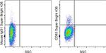 CD83 Antibody in Flow Cytometry (Flow)