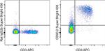 CD90.2 (Thy-1.2) Antibody in Flow Cytometry (Flow)