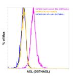 Axl Antibody