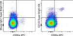 CD123 Antibody in Flow Cytometry (Flow)