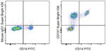 CD157 Antibody in Flow Cytometry (Flow)