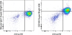 CD169 (Siglec-1) Antibody in Flow Cytometry (Flow)