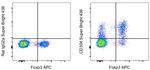 CD304 (Neuropilin-1) Antibody in Flow Cytometry (Flow)