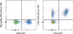 CD5 Antibody in Flow Cytometry (Flow)