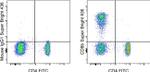 CD8b Antibody in Flow Cytometry (Flow)