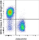 MHC Class II (I-A/I-E) Antibody in Flow Cytometry (Flow)