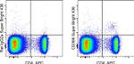 CD366 (TIM3) Antibody in Flow Cytometry (Flow)