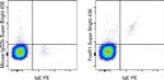 FceR1 alpha Antibody in Flow Cytometry (Flow)