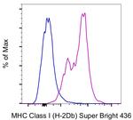 MHC Class I (H-2Db) Antibody in Flow Cytometry (Flow)