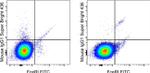 IgE Antibody in Flow Cytometry (Flow)