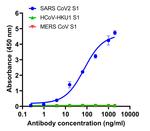 Human IgG (Gamma chain) Cross-Adsorbed Secondary Antibody in ELISA (ELISA)