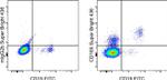 CD185 (CXCR5) Antibody in Flow Cytometry (Flow)