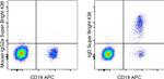 IgD Antibody in Flow Cytometry (Flow)