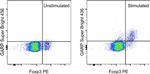 GARP Antibody in Flow Cytometry (Flow)