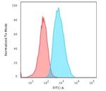 S100A4/Metastasin/Calvasculin Antibody in Flow Cytometry (Flow)