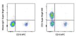 CD3 Antibody in Flow Cytometry (Flow)