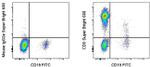 CD5 Antibody in Flow Cytometry (Flow)