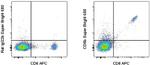 CD8b Antibody in Flow Cytometry (Flow)