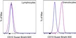 CD10 Antibody in Flow Cytometry (Flow)