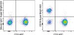 CD19 Antibody in Flow Cytometry (Flow)