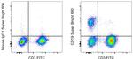 CD19 Antibody in Flow Cytometry (Flow)