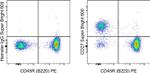 CD27 Antibody in Flow Cytometry (Flow)