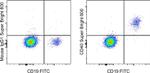 CD40 Antibody in Flow Cytometry (Flow)