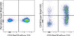 CD49f (Integrin alpha 6) Antibody in Flow Cytometry (Flow)