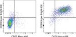 CD69 Antibody in Flow Cytometry (Flow)