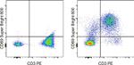 CD69 Antibody in Flow Cytometry (Flow)