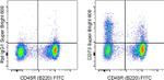 CD73 Antibody in Flow Cytometry (Flow)