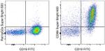 CD86 (B7-2) Antibody in Flow Cytometry (Flow)