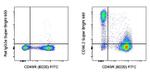 CD90.2 (Thy-1.2) Antibody in Flow Cytometry (Flow)