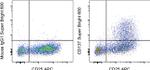 CD137 (4-1BB) Antibody in Flow Cytometry (Flow)