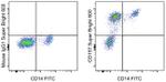 CD157 Antibody in Flow Cytometry (Flow)