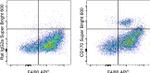 CD170 (Siglec F) Antibody in Flow Cytometry (Flow)