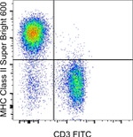 MHC Class II (I-A/I-E) Antibody in Flow Cytometry (Flow)