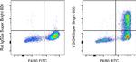 VSIG4 Antibody in Flow Cytometry (Flow)