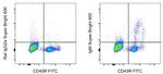 IgM Antibody in Flow Cytometry (Flow)