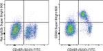 CD93 (AA4.1) Antibody in Flow Cytometry (Flow)