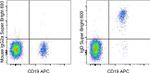 IgD Antibody in Flow Cytometry (Flow)